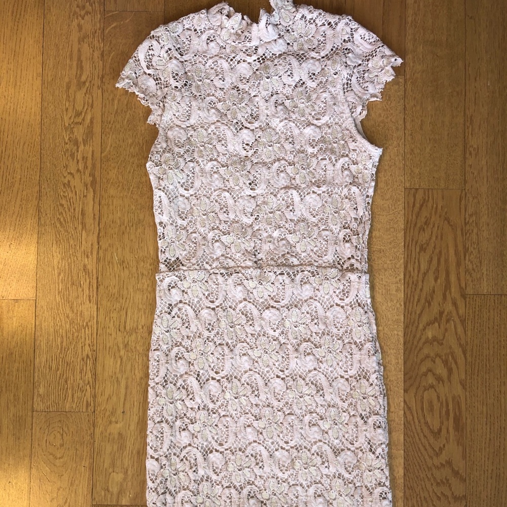 Nightcap Dixie Lace cutout Mini, in blush